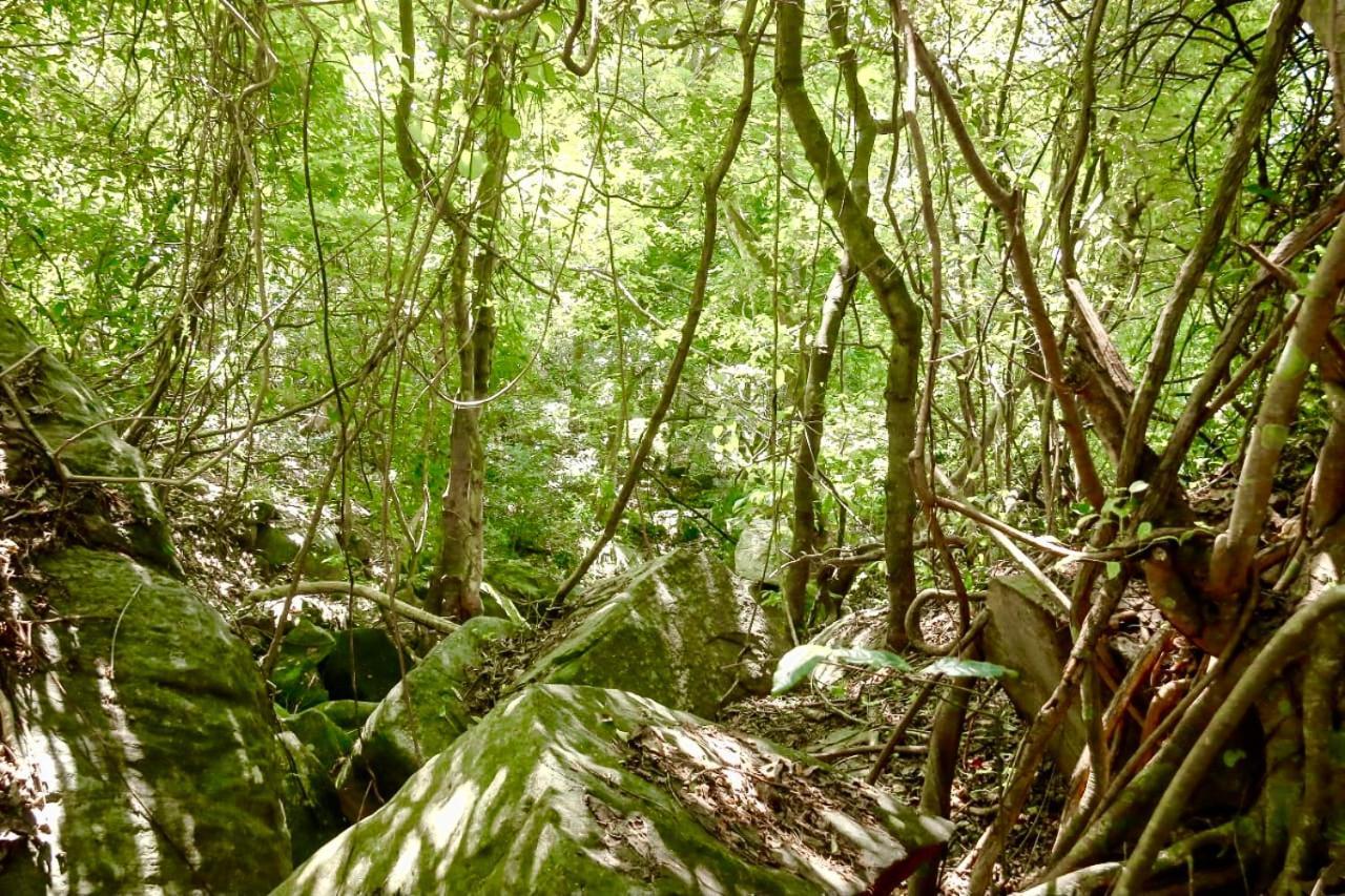Silver Hill Ecovillage Kurunegala Εξωτερικό φωτογραφία
