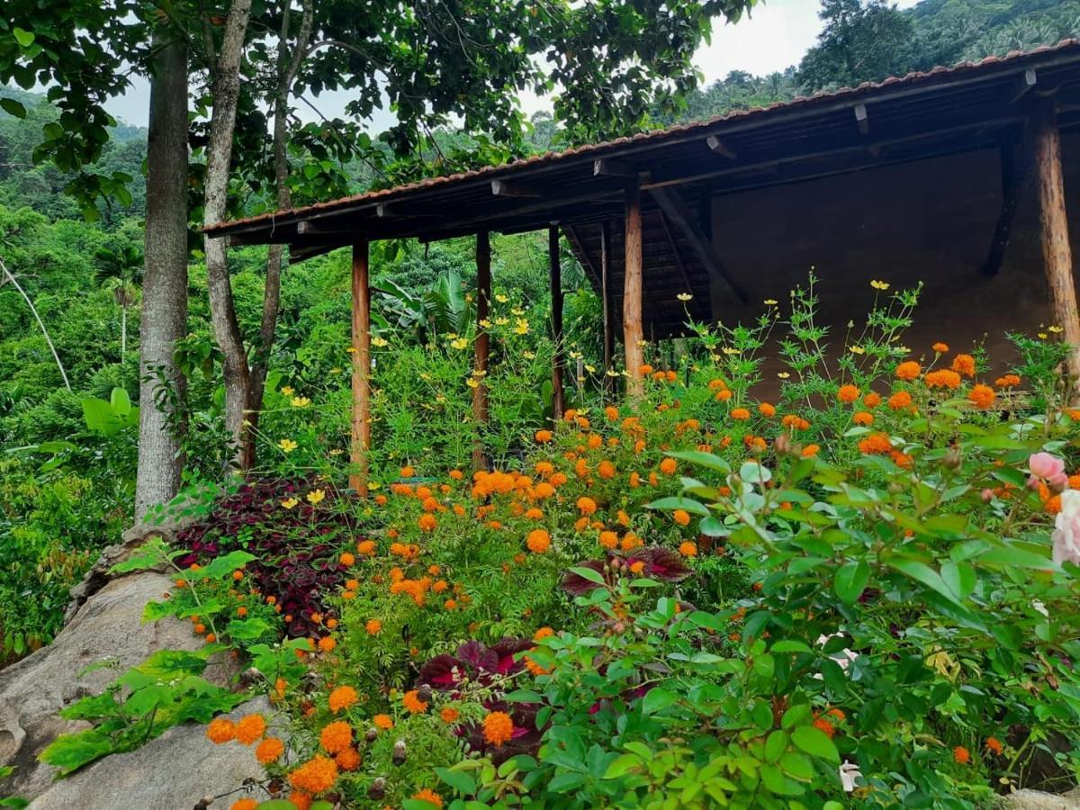 Silver Hill Ecovillage Kurunegala Εξωτερικό φωτογραφία