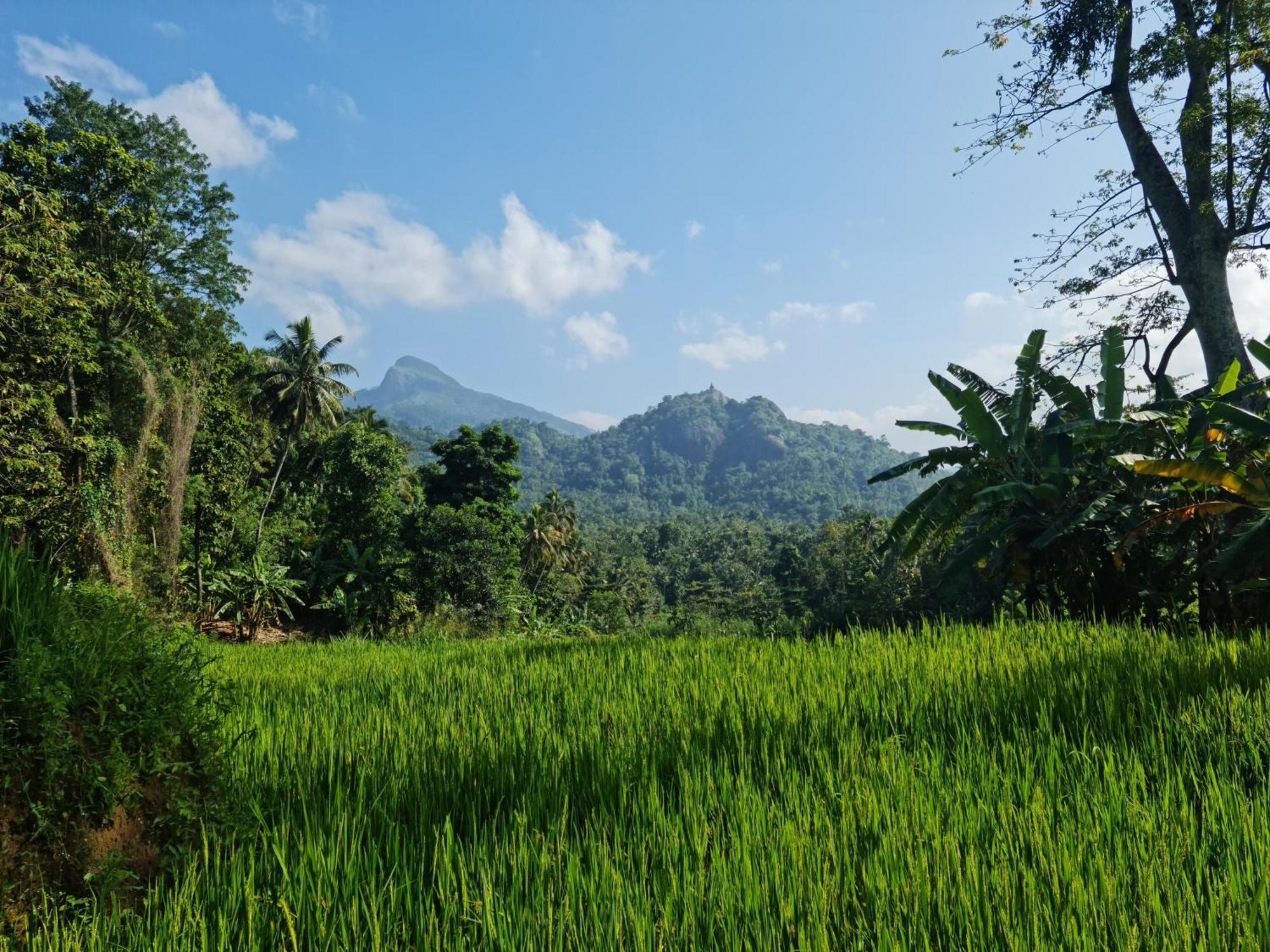 Silver Hill Ecovillage Kurunegala Εξωτερικό φωτογραφία