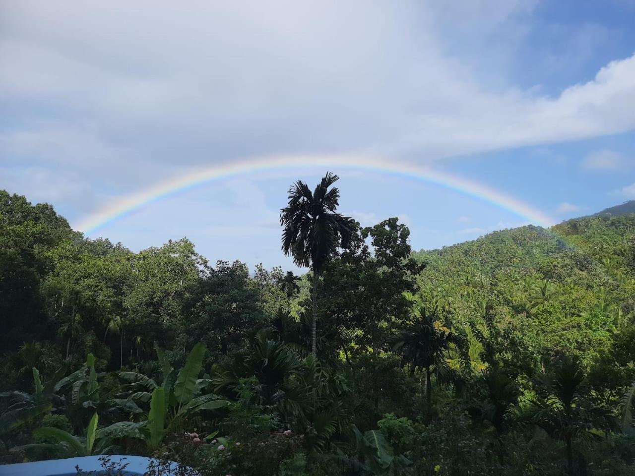 Silver Hill Ecovillage Kurunegala Εξωτερικό φωτογραφία