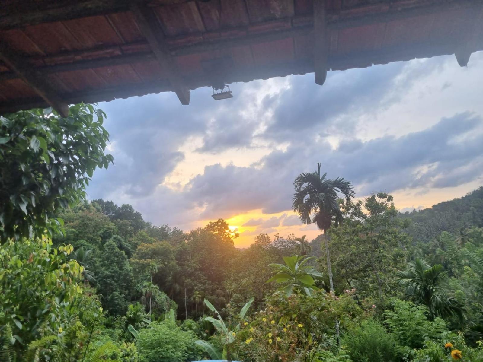 Silver Hill Ecovillage Kurunegala Εξωτερικό φωτογραφία