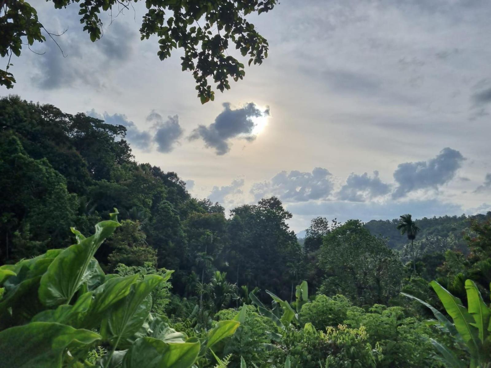 Silver Hill Ecovillage Kurunegala Εξωτερικό φωτογραφία