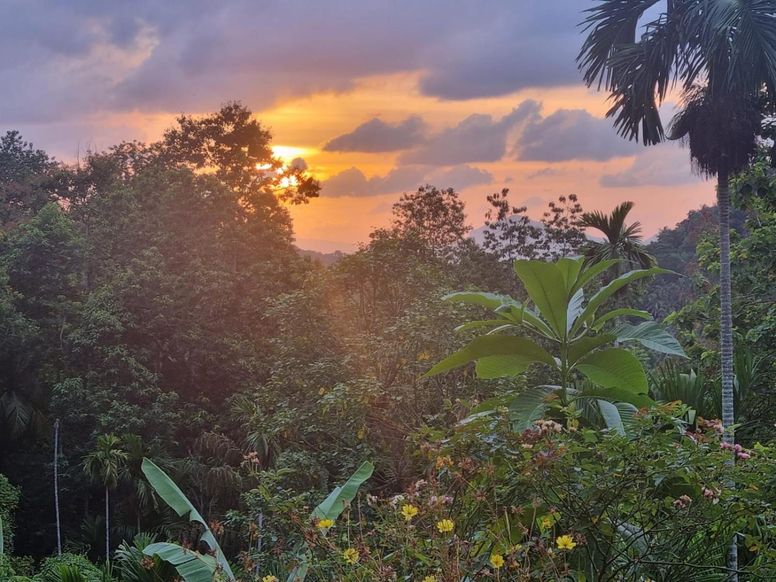 Silver Hill Ecovillage Kurunegala Εξωτερικό φωτογραφία